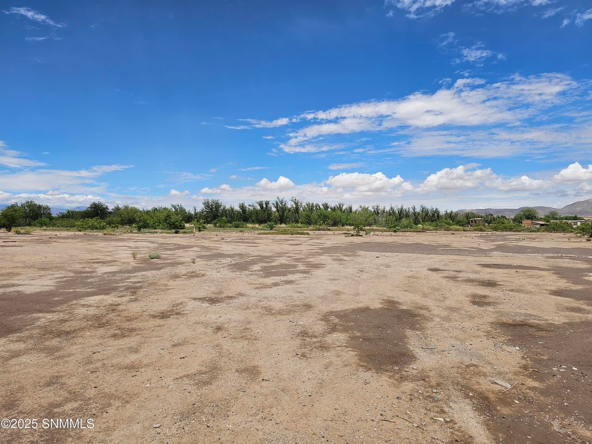 1866 Highway 478, Anthony, NM 88021, foto 4