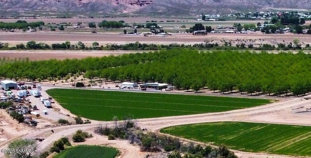 301 Country E-089 Road, Hatch, NM 87937 photo 2