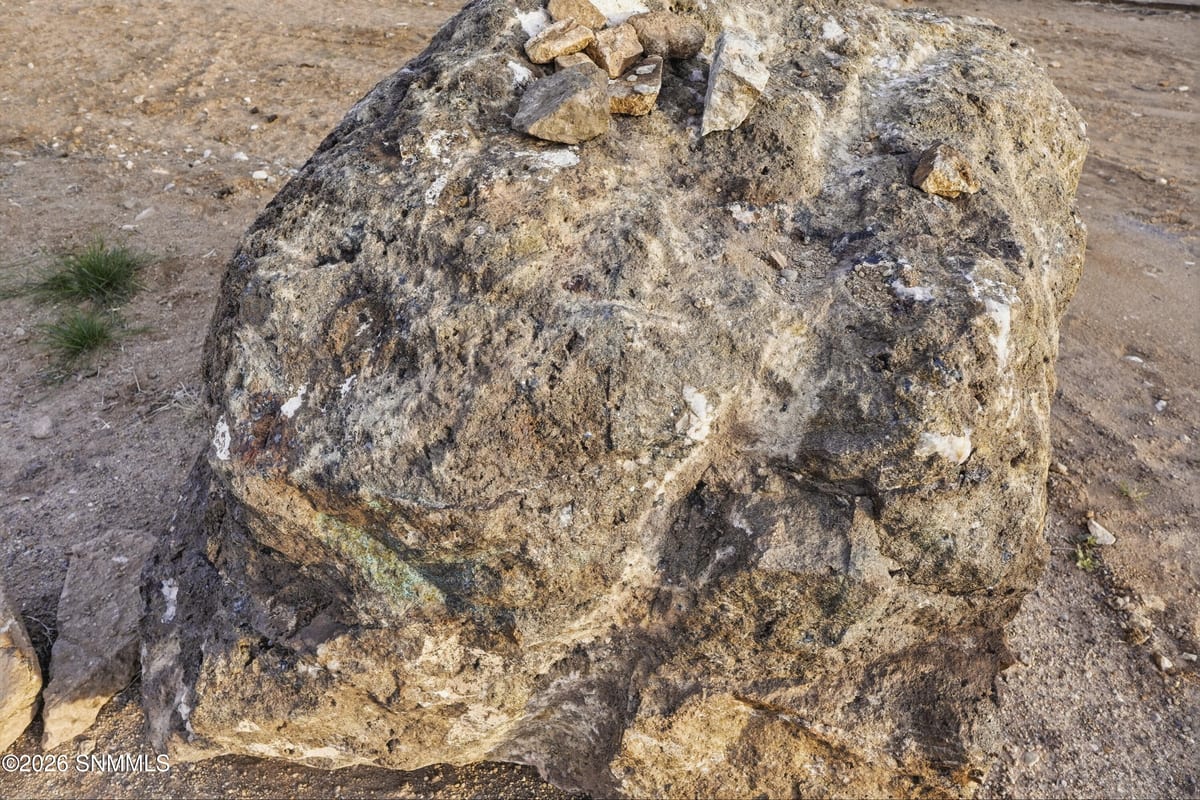 6100 CR-087, Las Cruces, NM 88011 photo 14