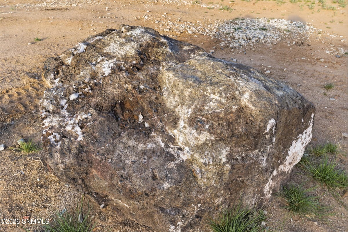 6100 CR-087, Las Cruces, NM 88011 photo 15