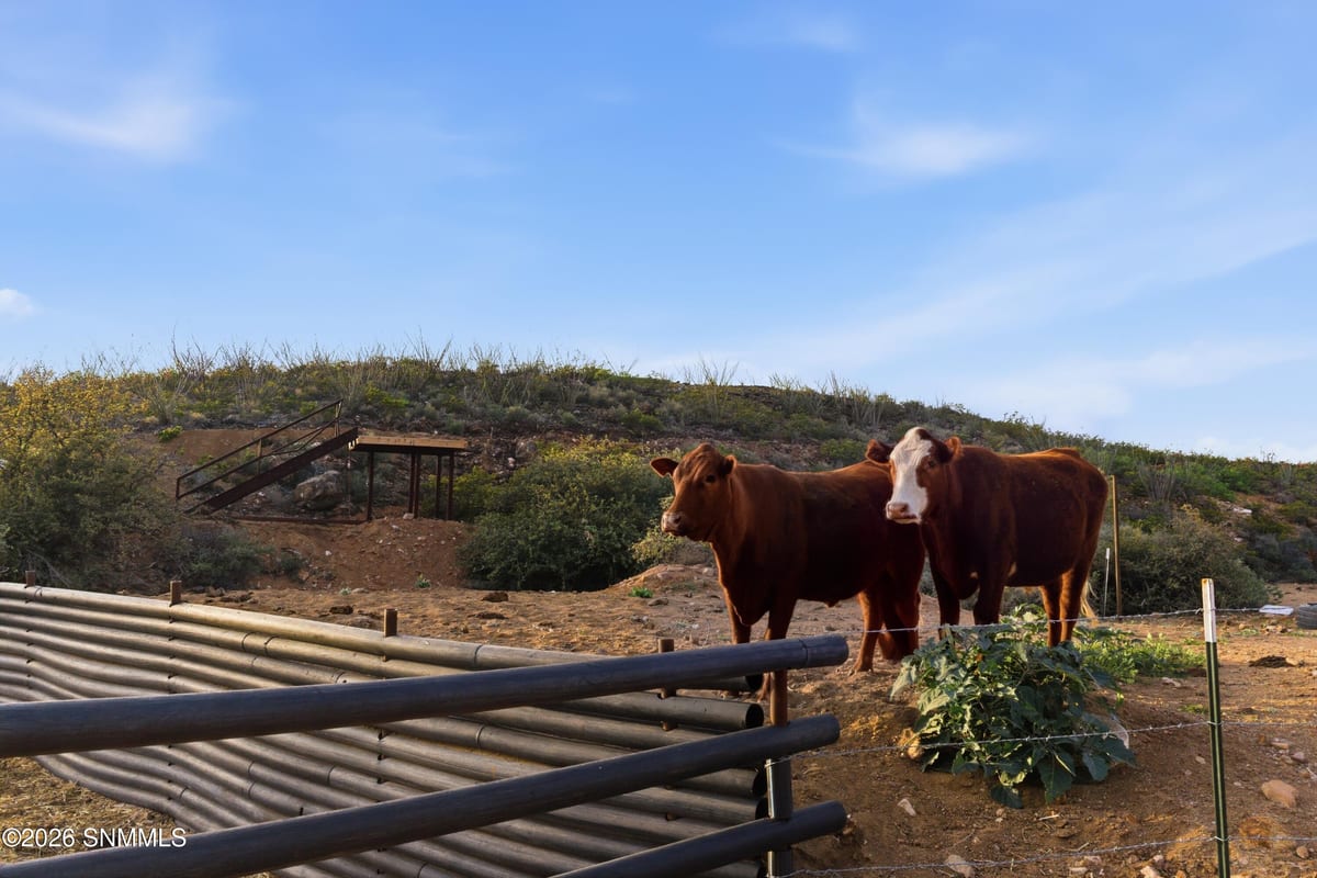 6100 CR-087, Las Cruces, NM 88011 photo 8