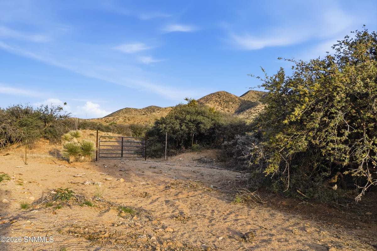 6100 CR-087, Las Cruces, NM 88011 photo 9