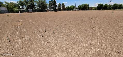 Las Cruces, NM 88007 photo 16