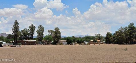 Las Cruces, NM 88007 photo 9
