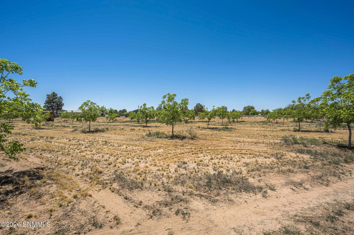 TBD Old River Road #Lot 1, Las Cruces, NM 88005 photo 11