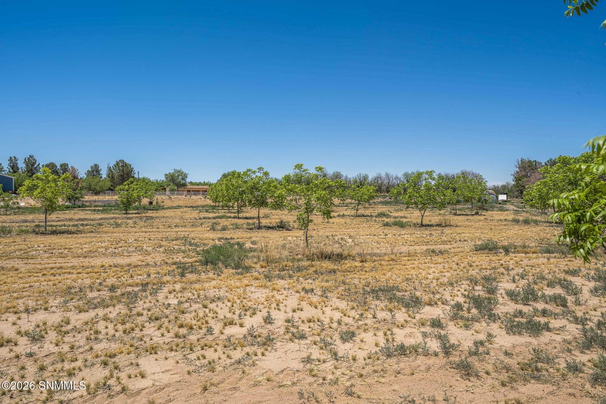 TBD Old River Road #Lot 1, Las Cruces, NM 88005 photo 12