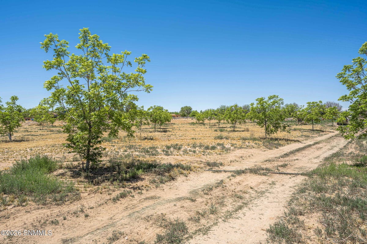 TBD Old River Road #Lot 1, Las Cruces, NM 88005 photo 13