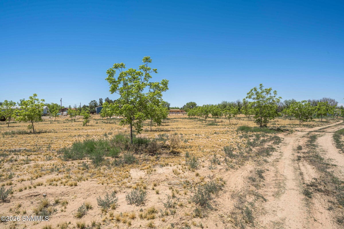 TBD Old River Road #Lot 1, Las Cruces, NM 88005 photo 14
