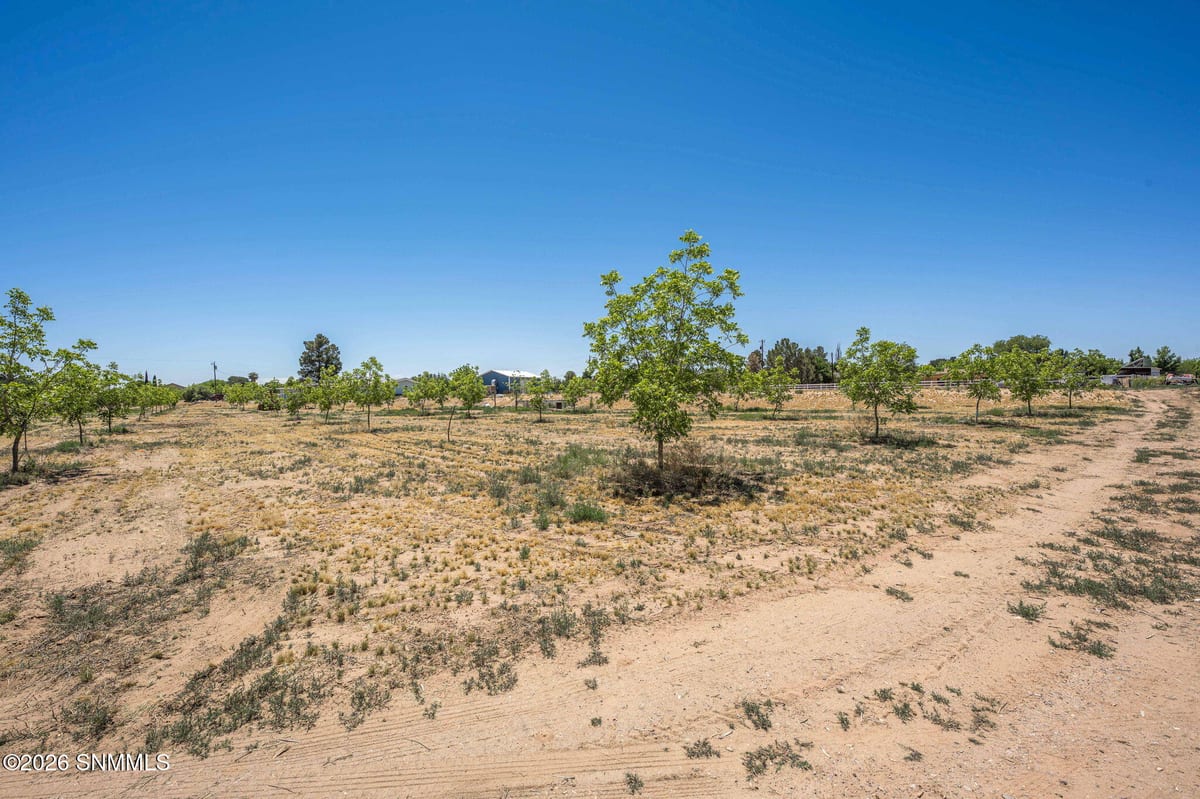 TBD Old River Road #Lot 1, Las Cruces, NM 88005 photo 10