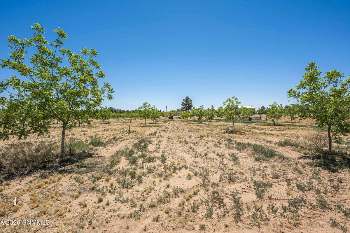 TBD Old River Road #Lot 2, Las Cruces, NM 88005, foto 9