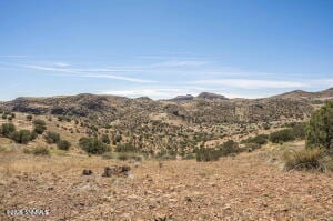 TBD Red Eagle Trail, Faywood, NM 88034, foto 2