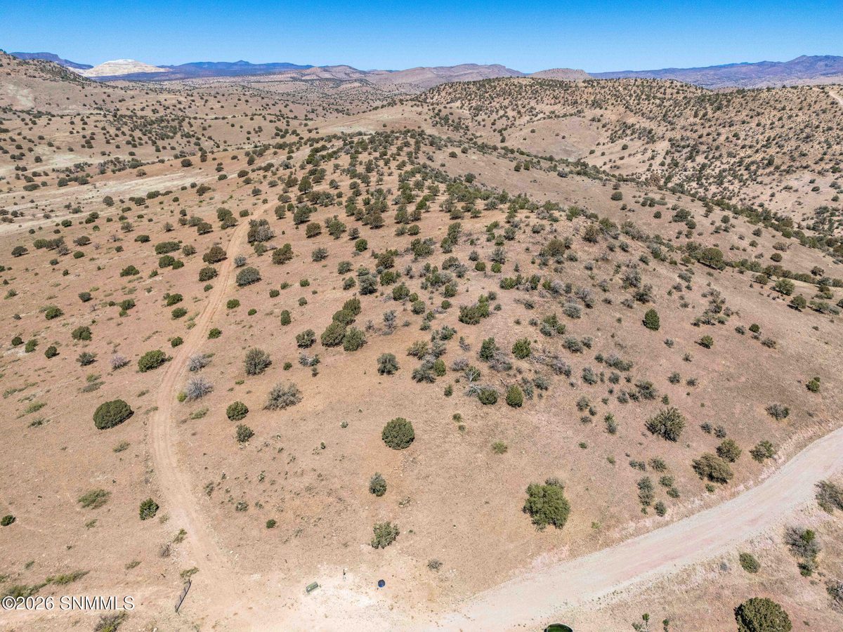 TBD Red Eagle Trail, Faywood, NM 88034, foto 6