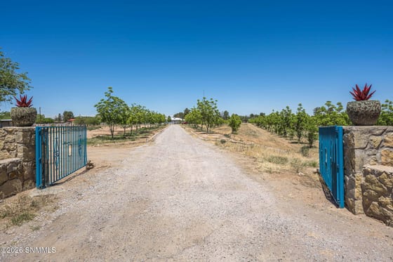 TBD Egyptian Street #Lot 4, Las Cruces, NM 88005 photo 3