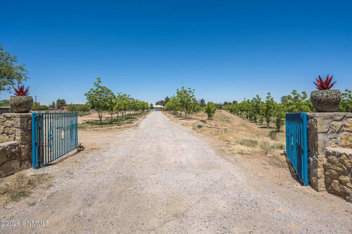 TBD Egyptian Street #Lot 4, Las Cruces, NM 88005, foto 3