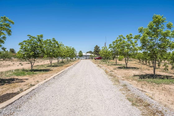 TBD Egyptian Street #Lot 4, Las Cruces, NM 88005 photo 4