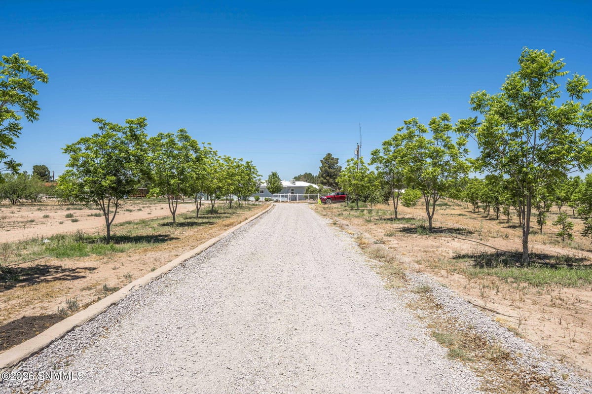 TBD Egyptian Street #Lot 4, Las Cruces, NM 88005, foto 4