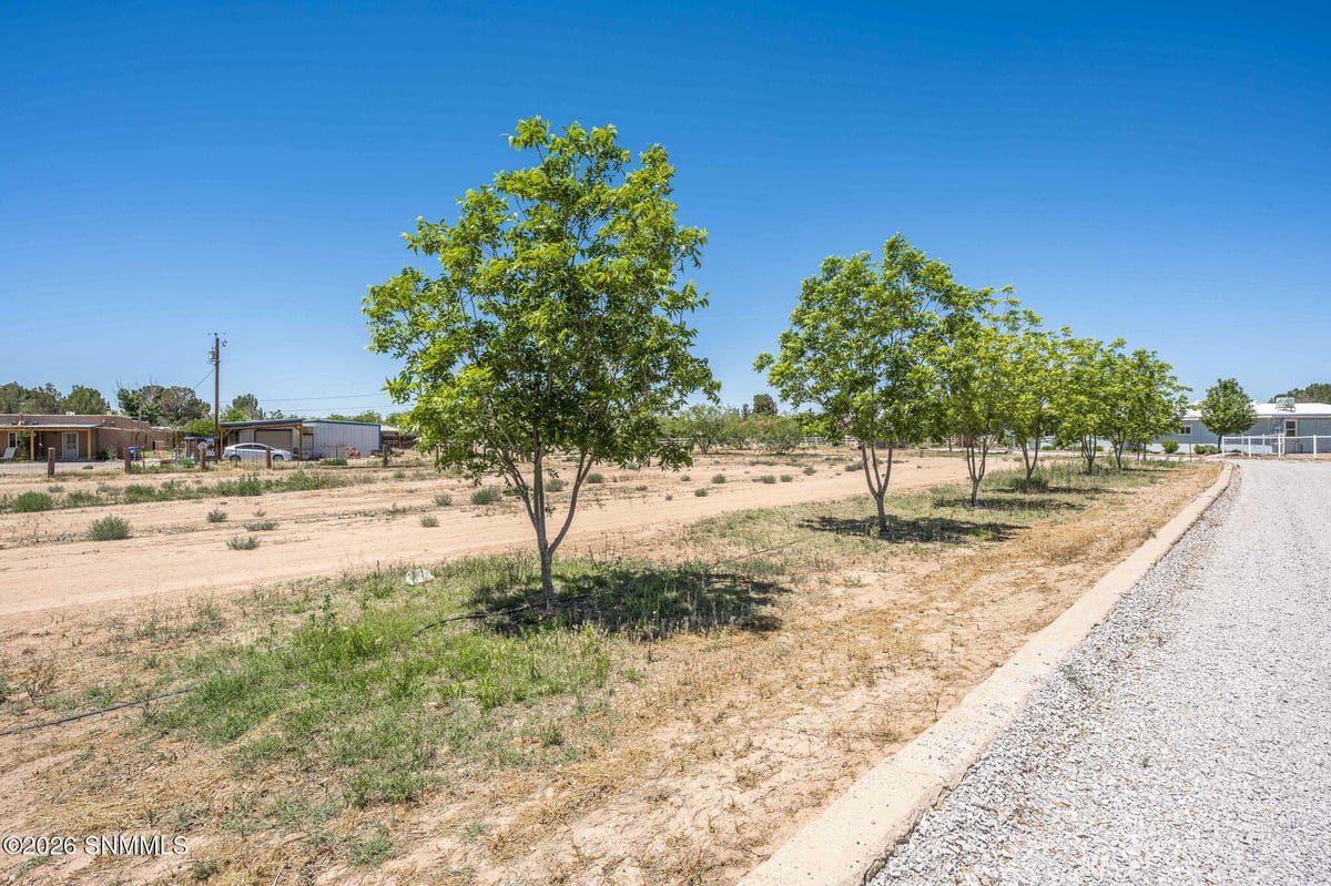 TBD Egyptian Street #Lot 4, Las Cruces, NM 88005, foto 8