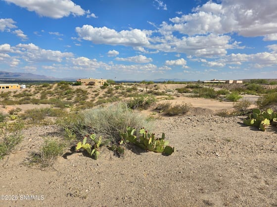 749 Lark Spur Way, Las Cruces, NM 88007 photo 5