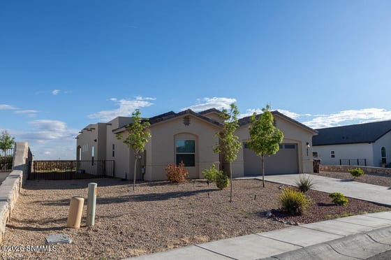 4524 Mesa Monte Drive, Las Cruces, NM 88011 photo 5