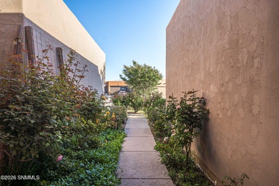 293 Wall Avenue, Las Cruces, NM 88001 photo 4
