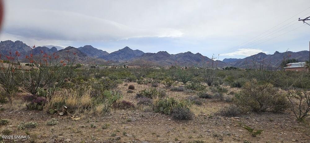 5113 Silver King Road, Las Cruces, NM 88011 photo 1