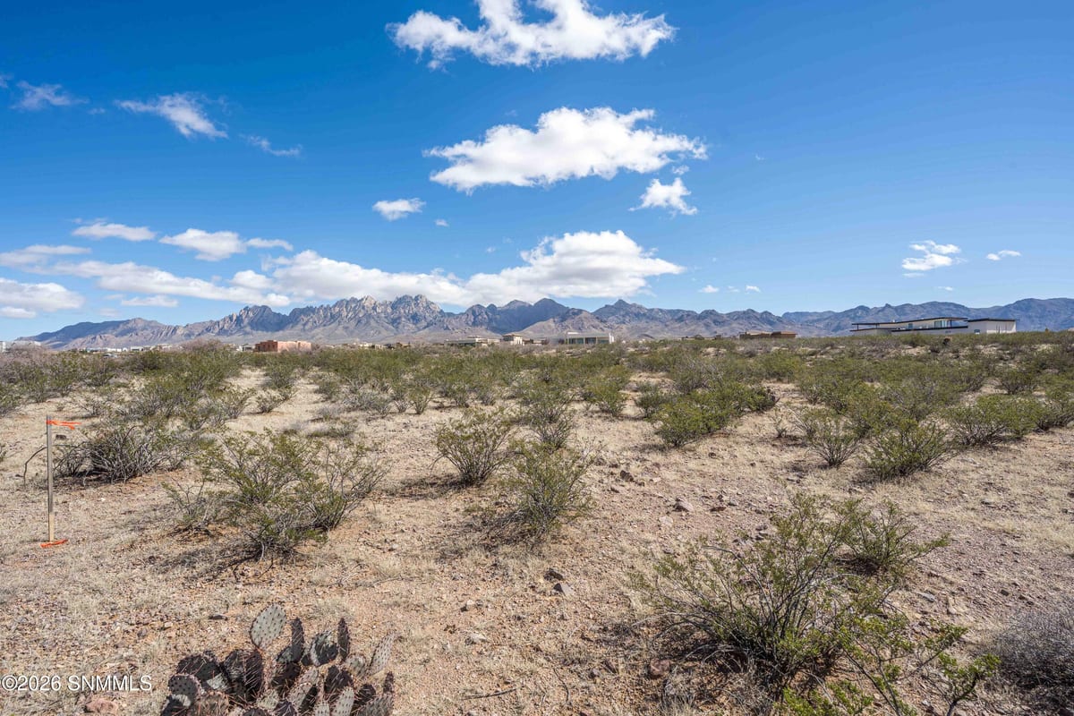 7911 Dripping Springs Road, Las Cruces, NM 88011 photo 1