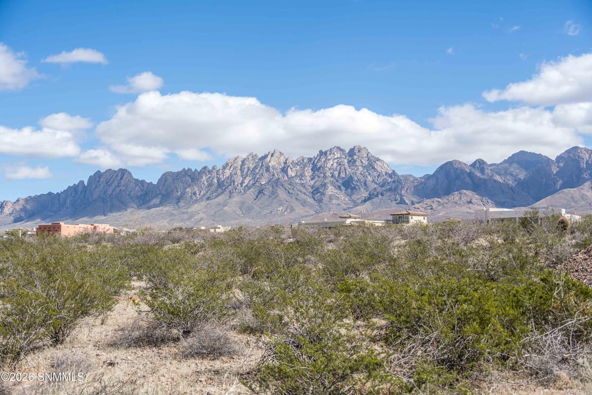 7921 Dripping Springs Road, Las Cruces, NM 88011 photo 1