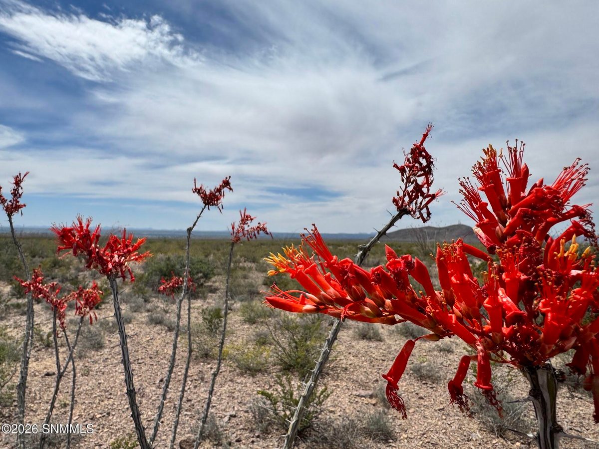 TBD Hardrock Road, Las Cruces, NM 88011 photo 6