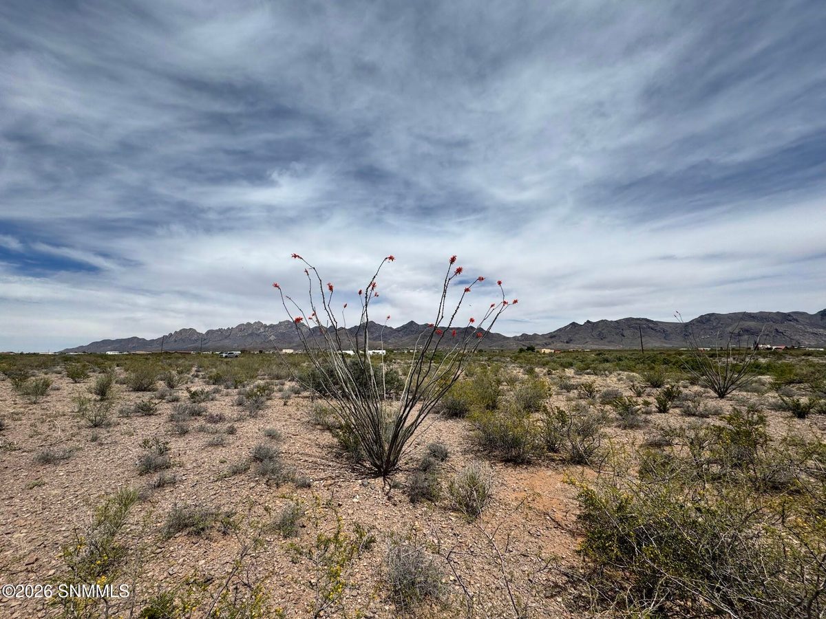 TBD Hardrock Road, Las Cruces, NM 88011 photo 8