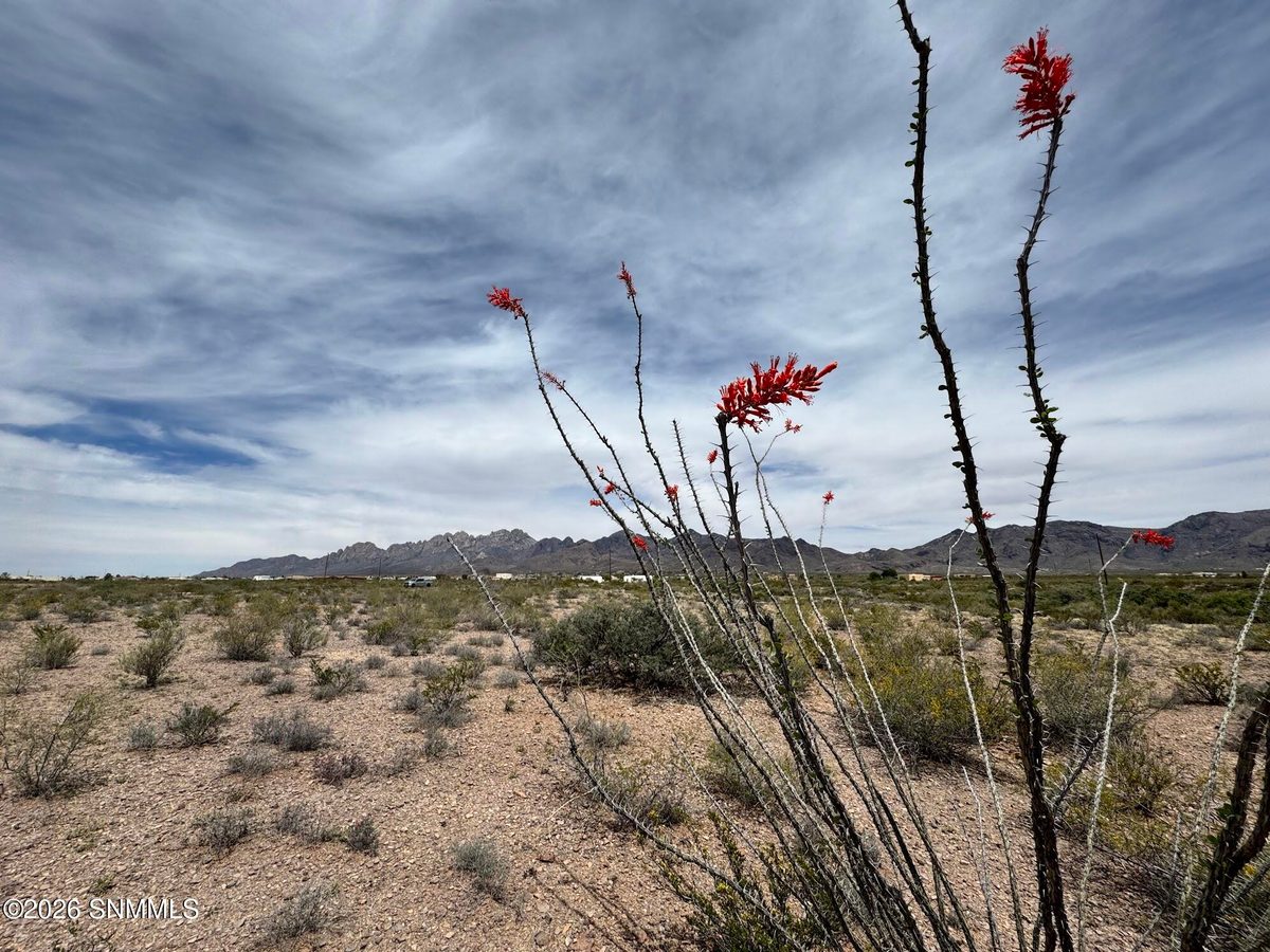 TBD Hardrock Road, Las Cruces, NM 88011 photo 9
