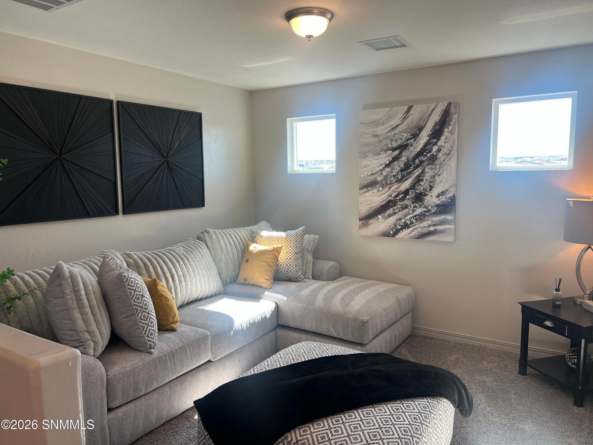 125 Sarah Trail, Sunland Park, NM 88008, foto 6