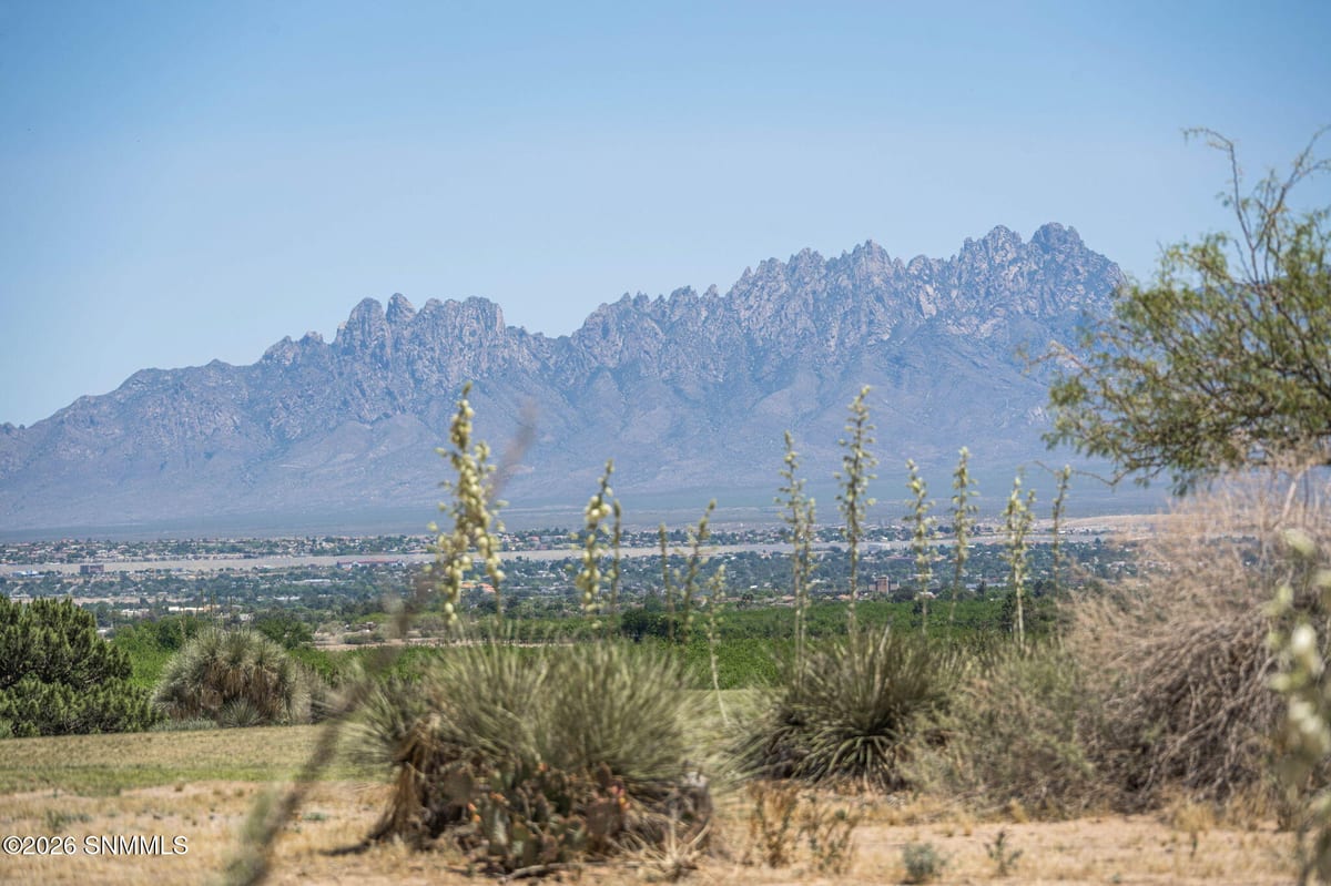 20 Las Casitas, Las Cruces, NM 88007 photo 6