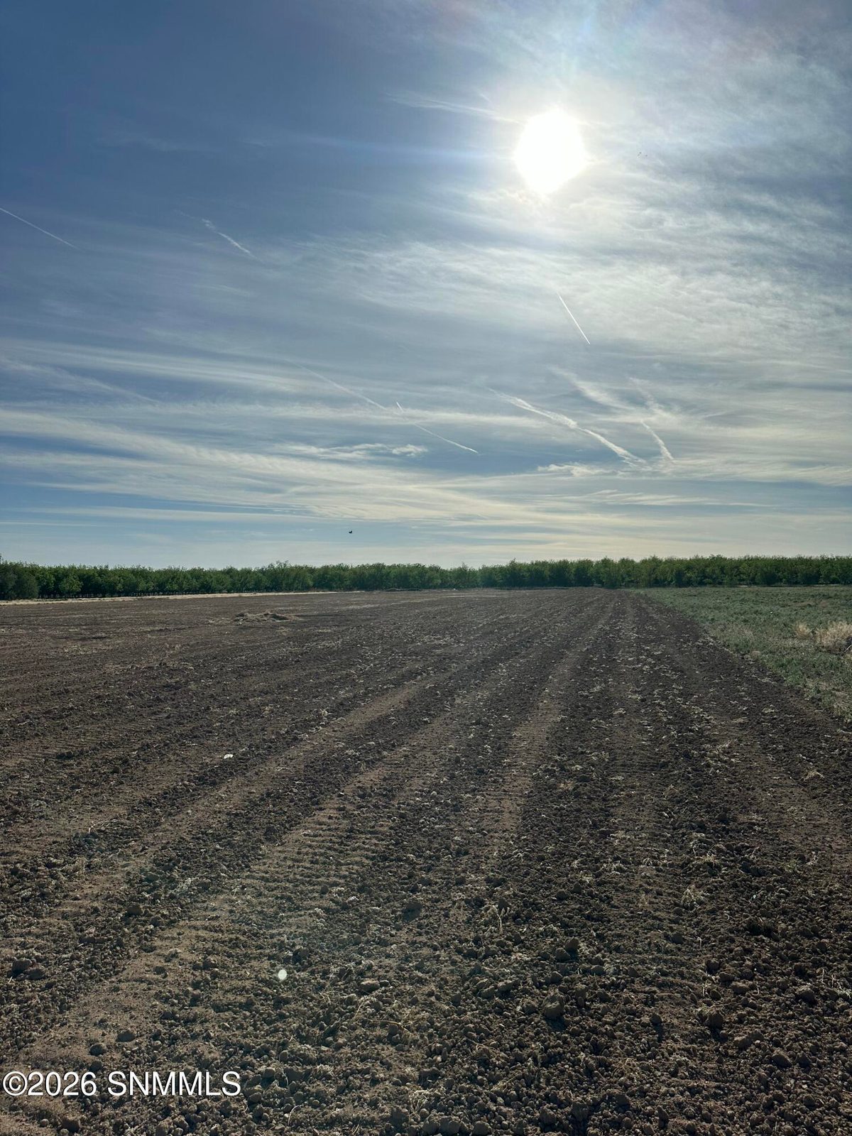 350 Dreams Drive, Anthony, NM 88021, foto 6