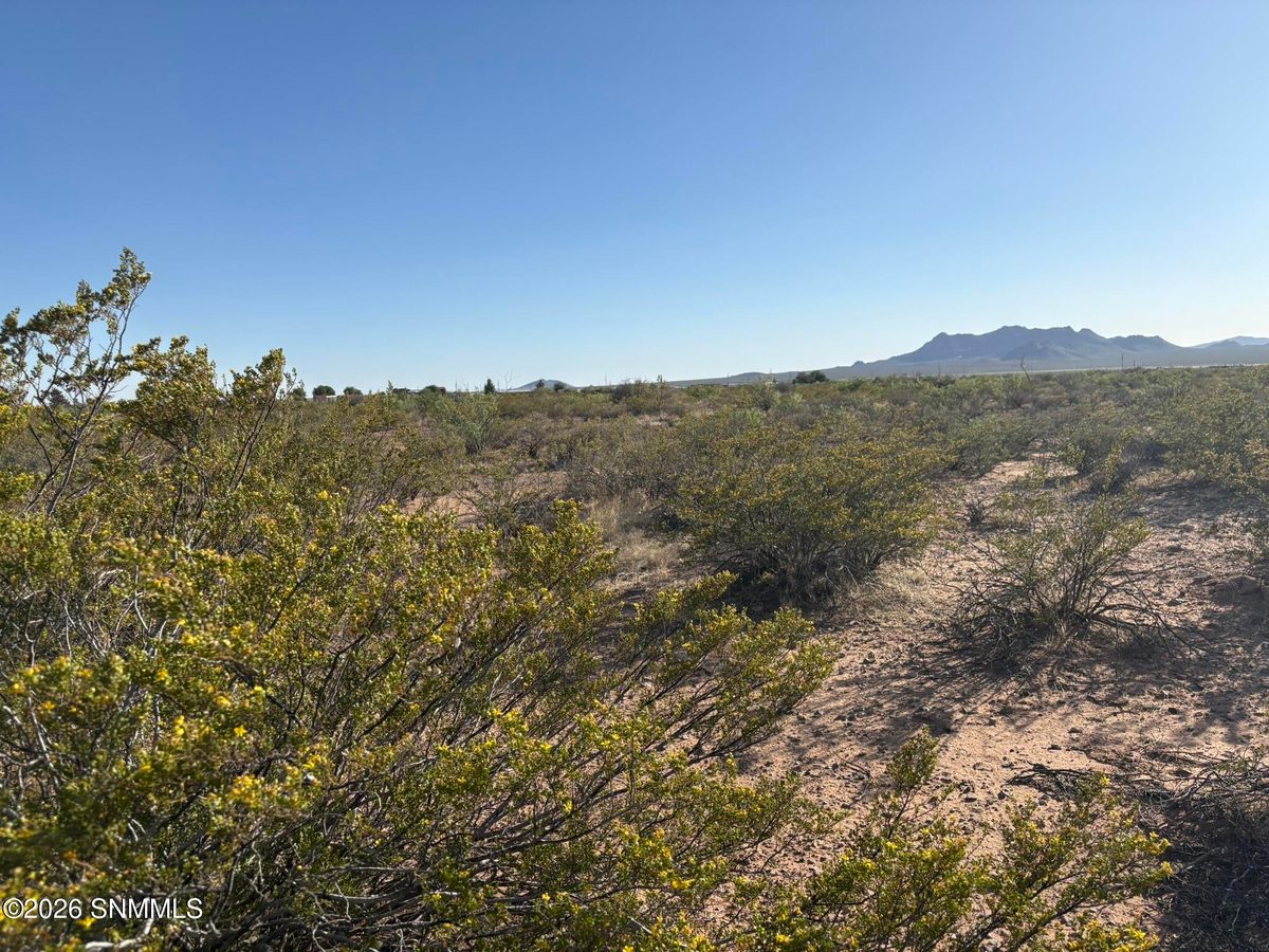13713 Holman Road, Las Cruces, NM 88012 photo 11