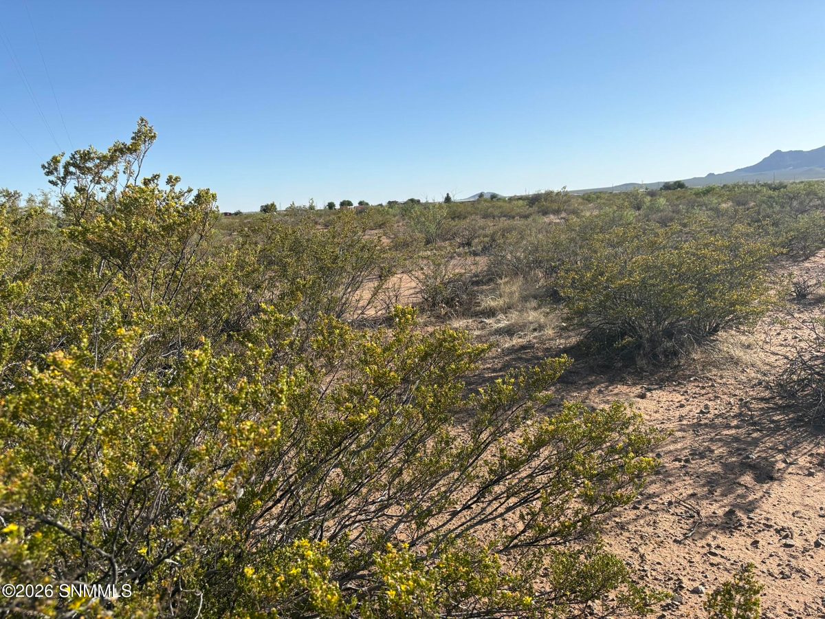 13713 Holman Road, Las Cruces, NM 88012 photo 12
