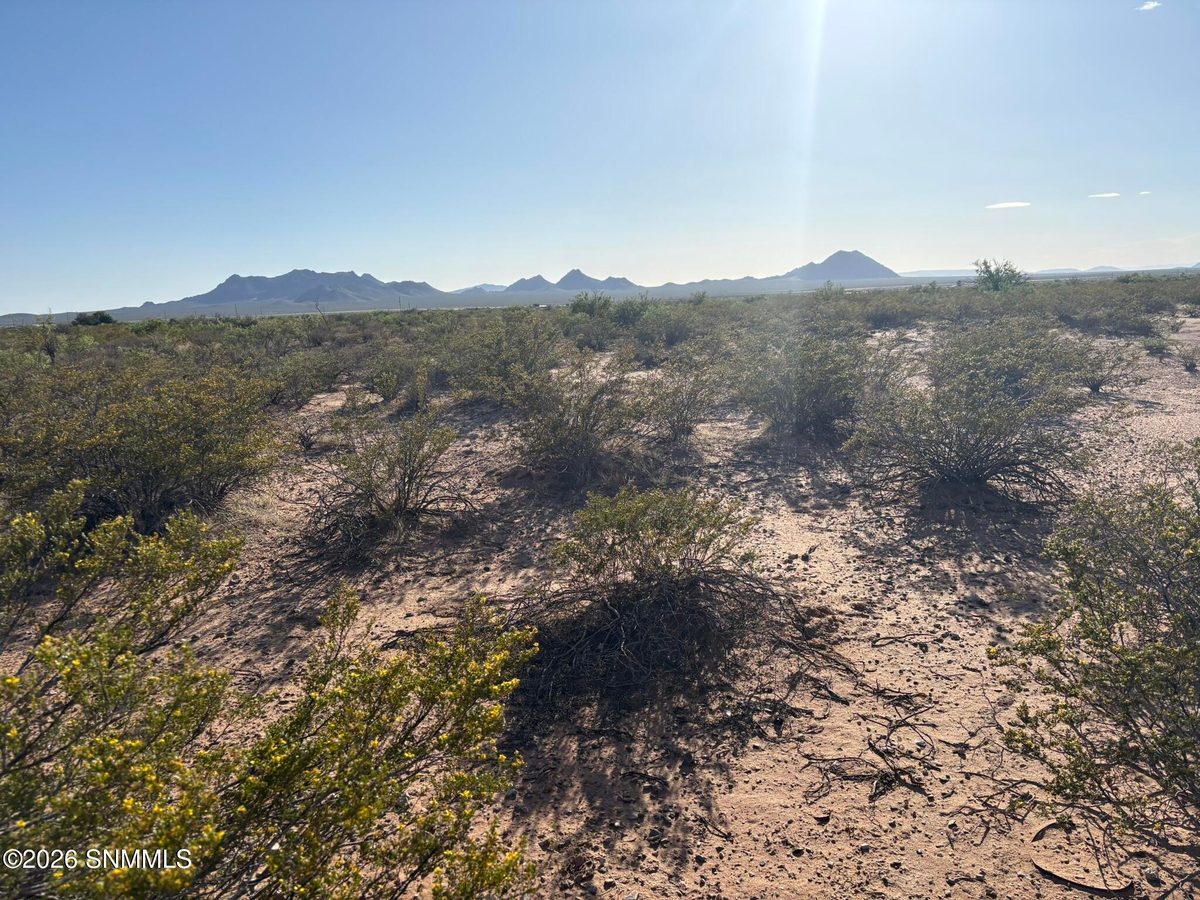 13713 Holman Road, Las Cruces, NM 88012 photo 10