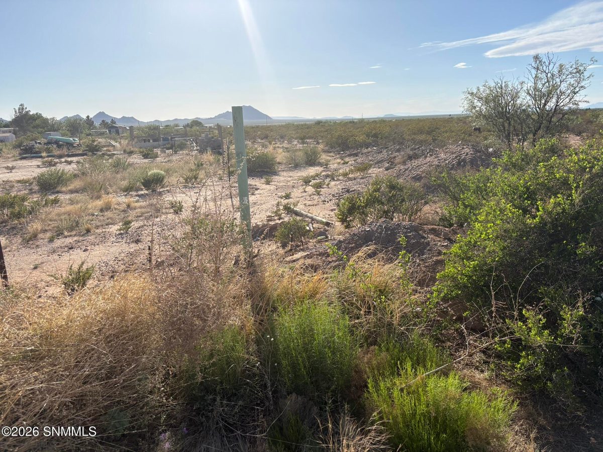 13641 Holman Road, Las Cruces, NM 88012, foto 7