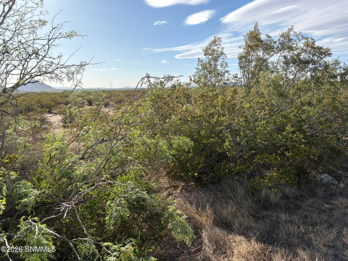 13641 Holman Road, Las Cruces, NM 88012, foto 8
