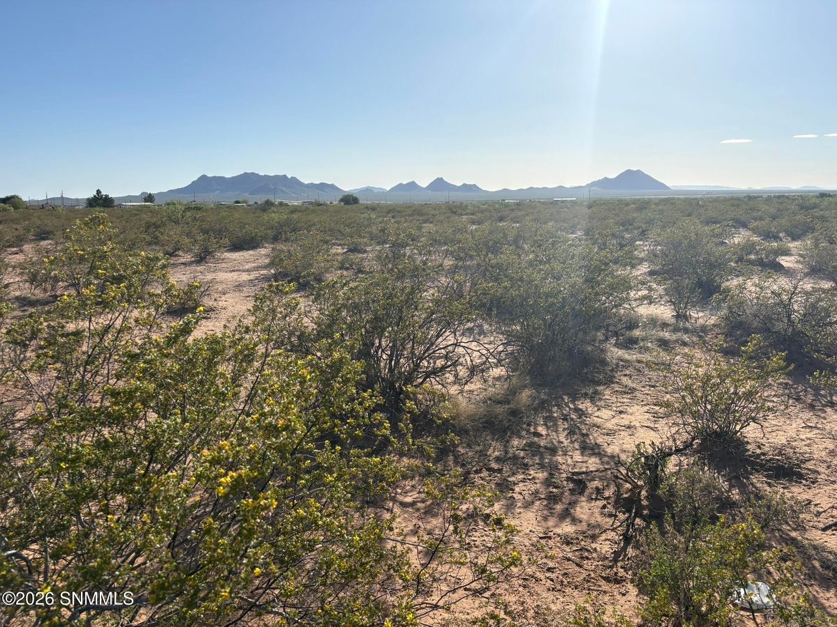 13641 Holman Road, Las Cruces, NM 88012, foto 10