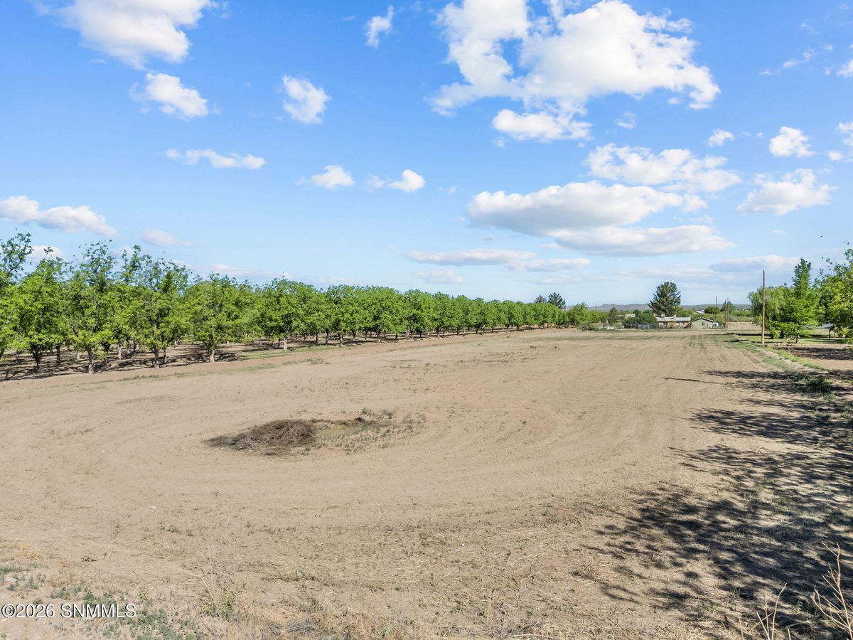 TBD Hayride Road, Radium Springs, NM 88054, foto 12