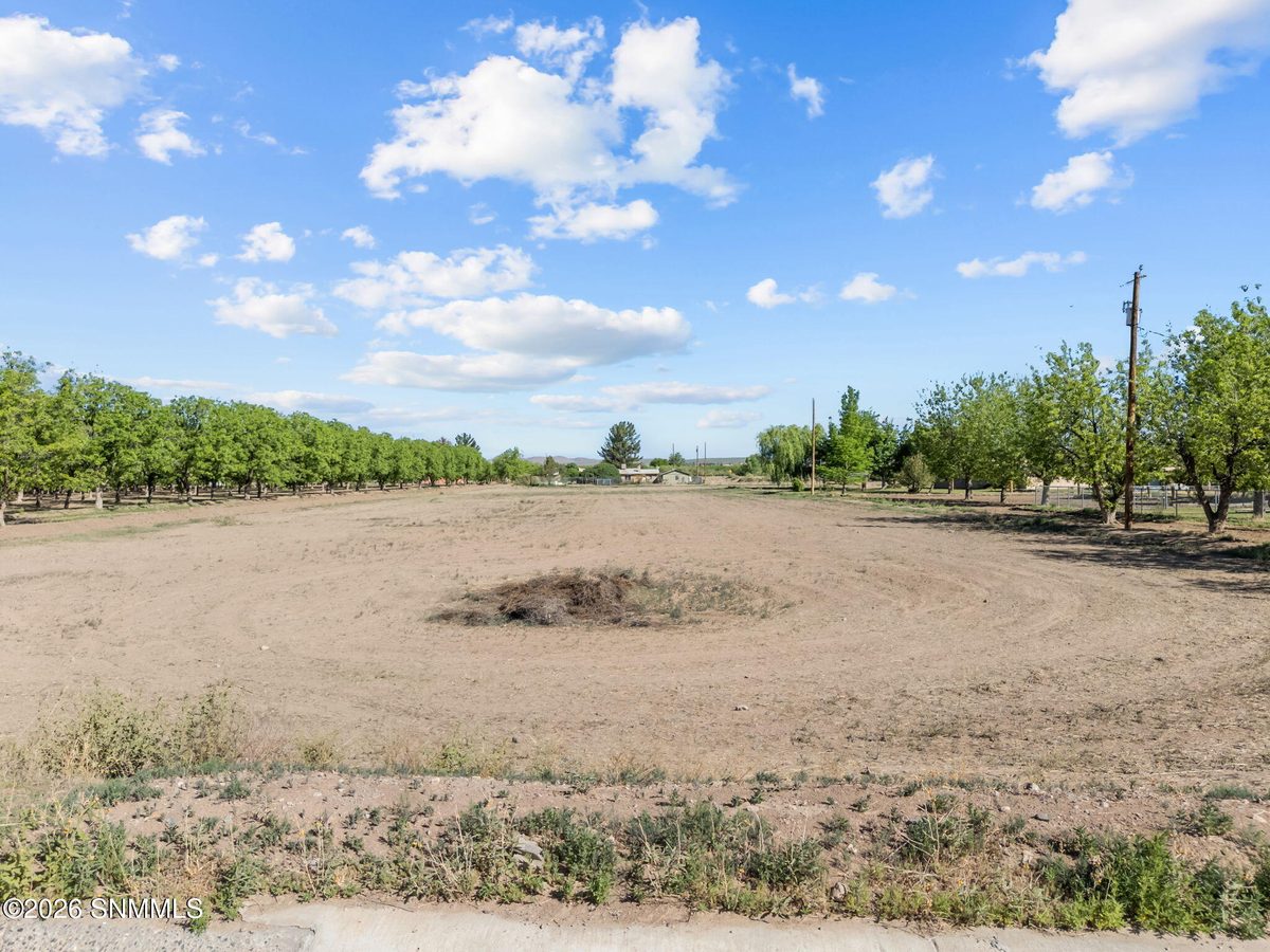 TBD Hayride Road, Radium Springs, NM 88054, foto 13