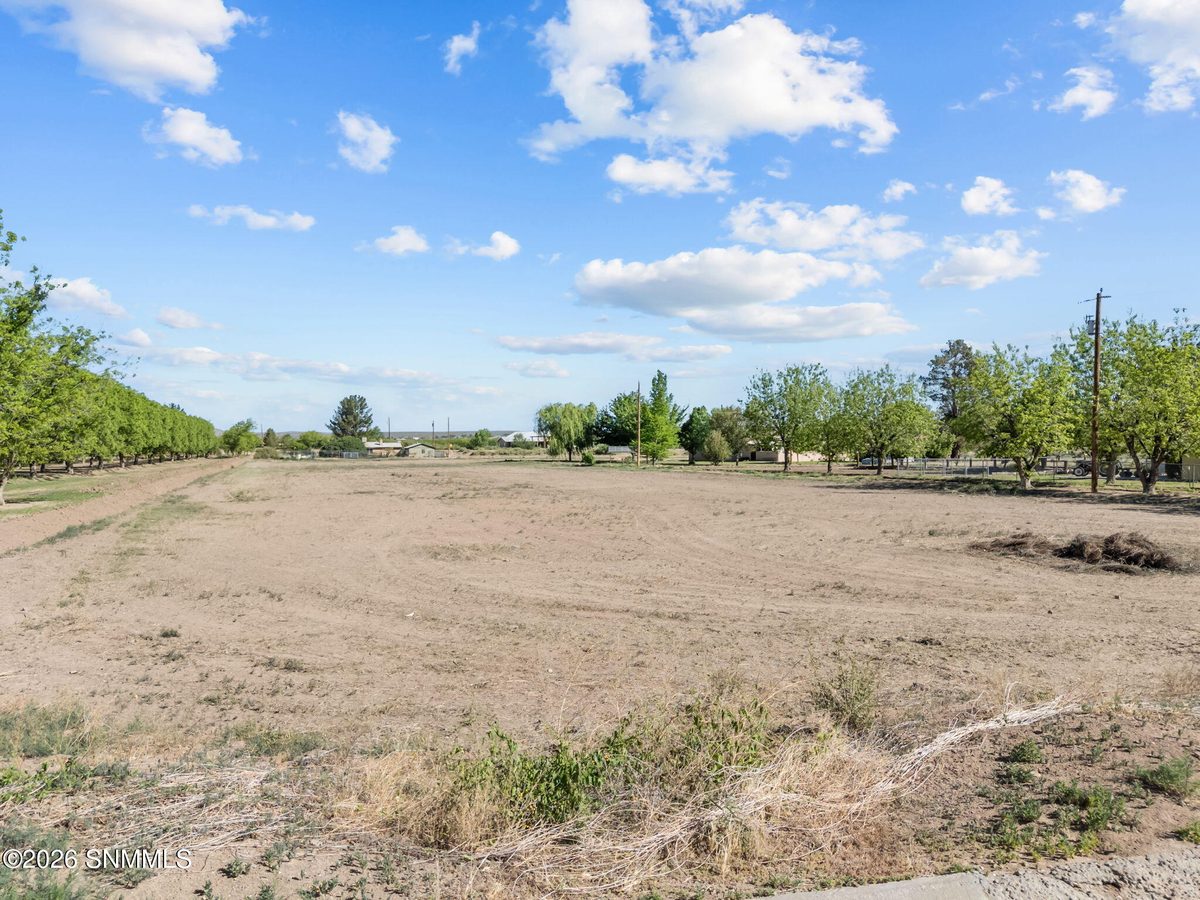 TBD Hayride Road, Radium Springs, NM 88054, foto 14