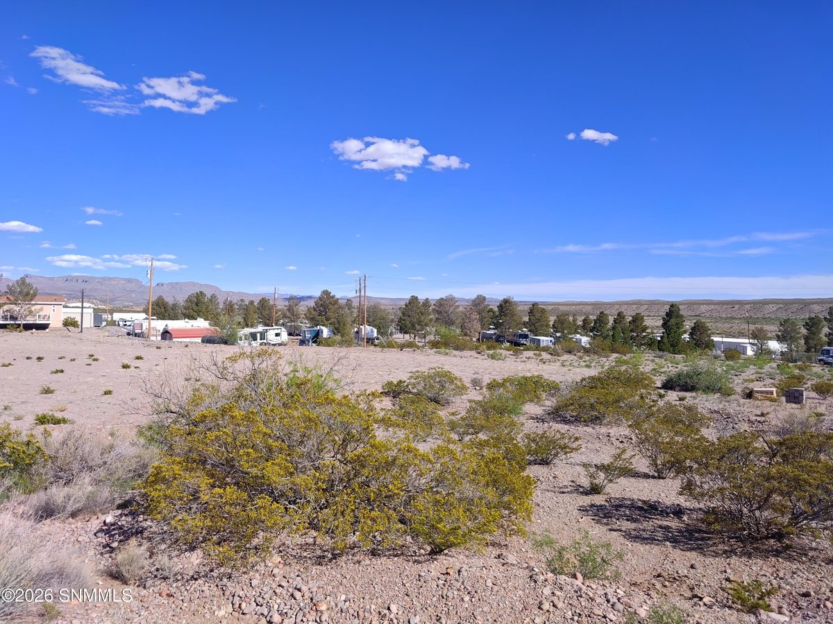 TBD Waterdog Road, Truth or Consequences, NM 87901, foto 2