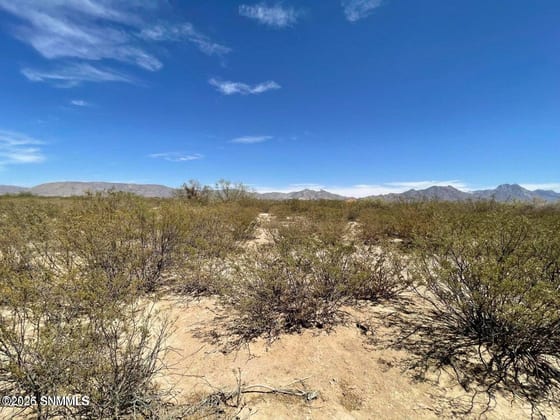 9345 Rabbit Run Road, Las Cruces, NM 88012 photo 5