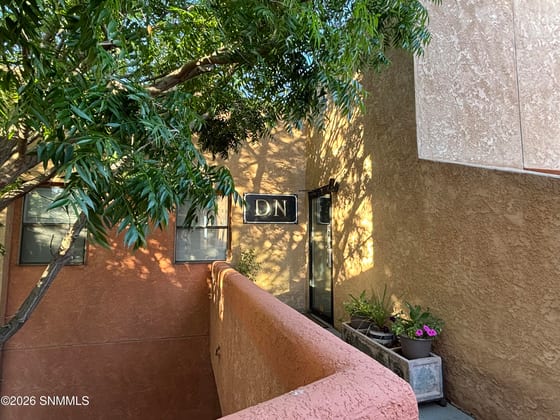 1980 E Lohman Avenue #D, Las Cruces, NM 88001 photo 3