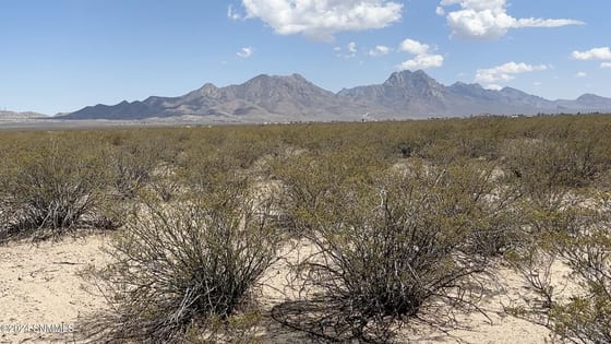 9000 Rabbit Run Road, Las Cruces, NM 88011 photo 4
