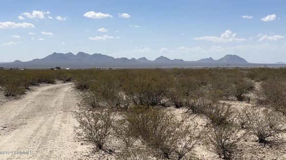 9000 Rabbit Run Road, Las Cruces, NM 88011 photo 5