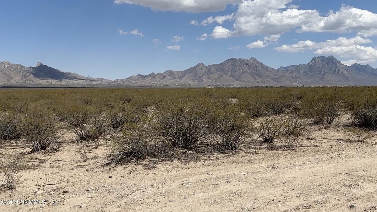 9000 Rabbit Run Road, Las Cruces, NM 88011 photo 7