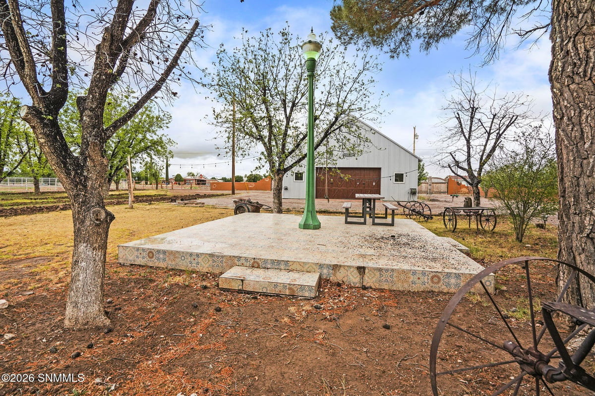 1015 Lister Drive, La Mesa, NM 88044, foto 15