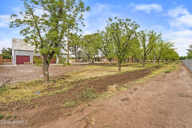 1015 Lister Drive, La Mesa, NM 88044, foto 4
